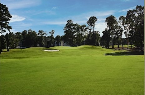 California Oaks Property Management on River Oaks   Fox To Otter Golf Course   Myrtle Beach Golf Packages