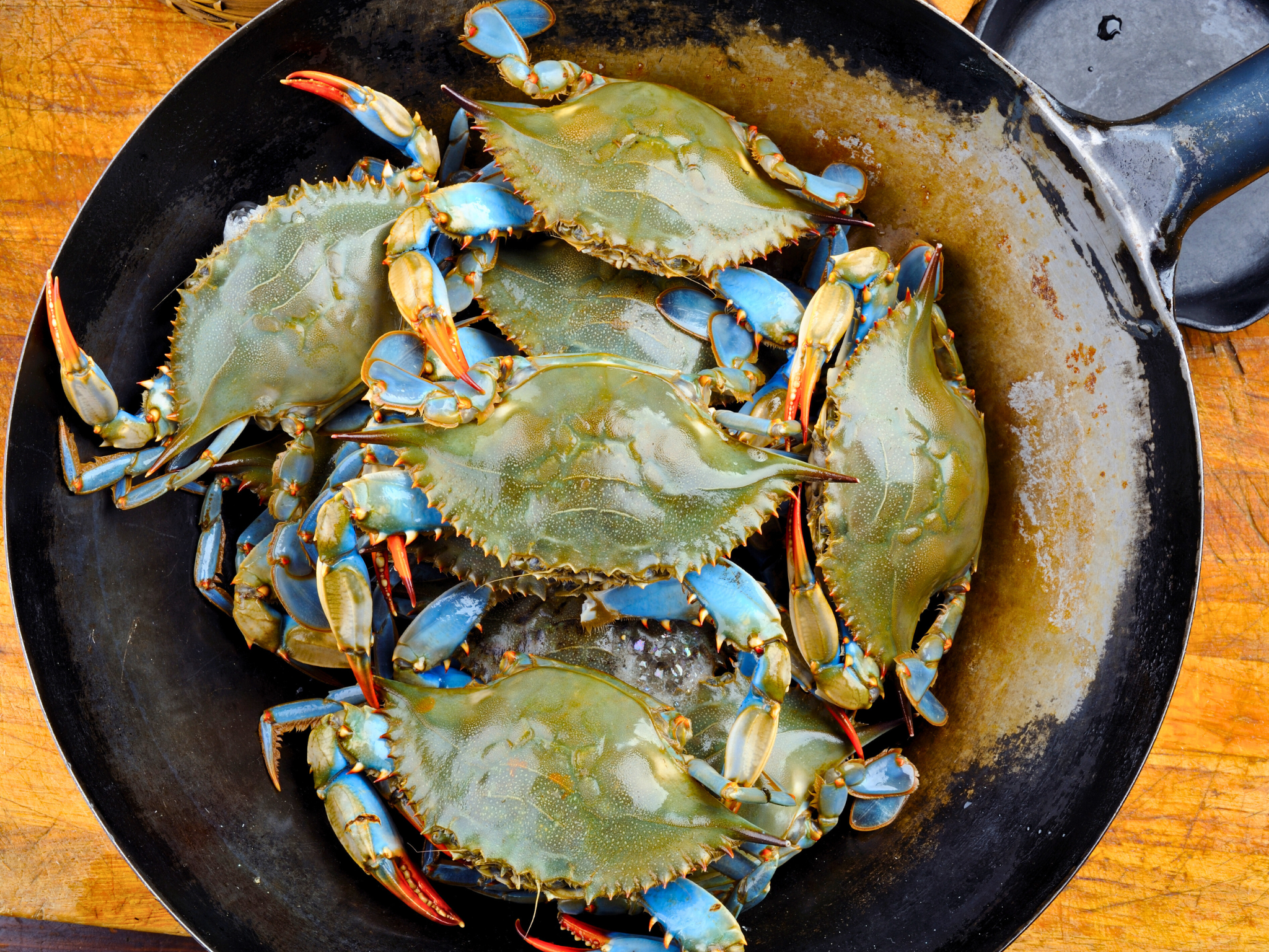 Little River Blue Crab Festival