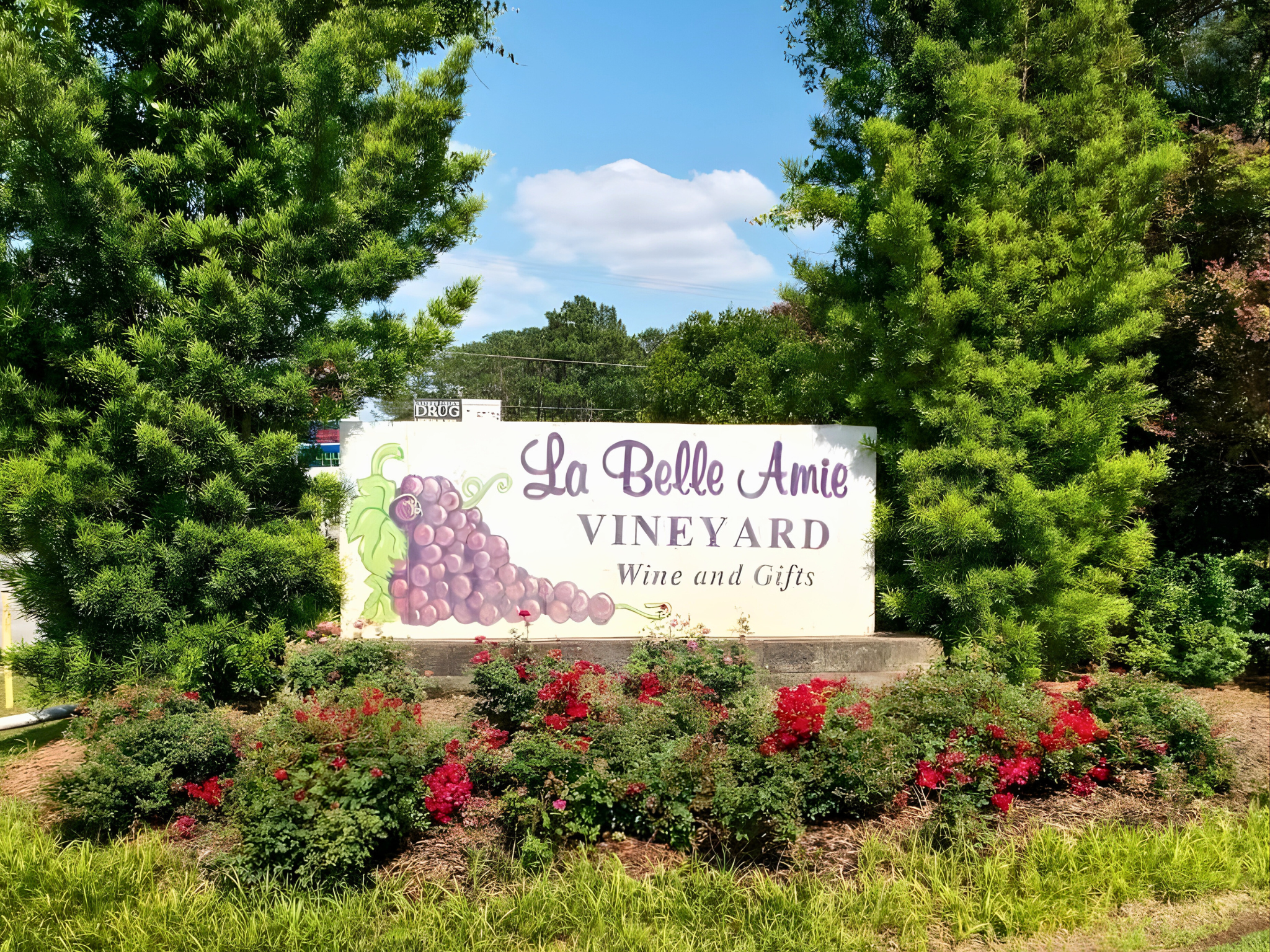 La Belle Amie Vineyard